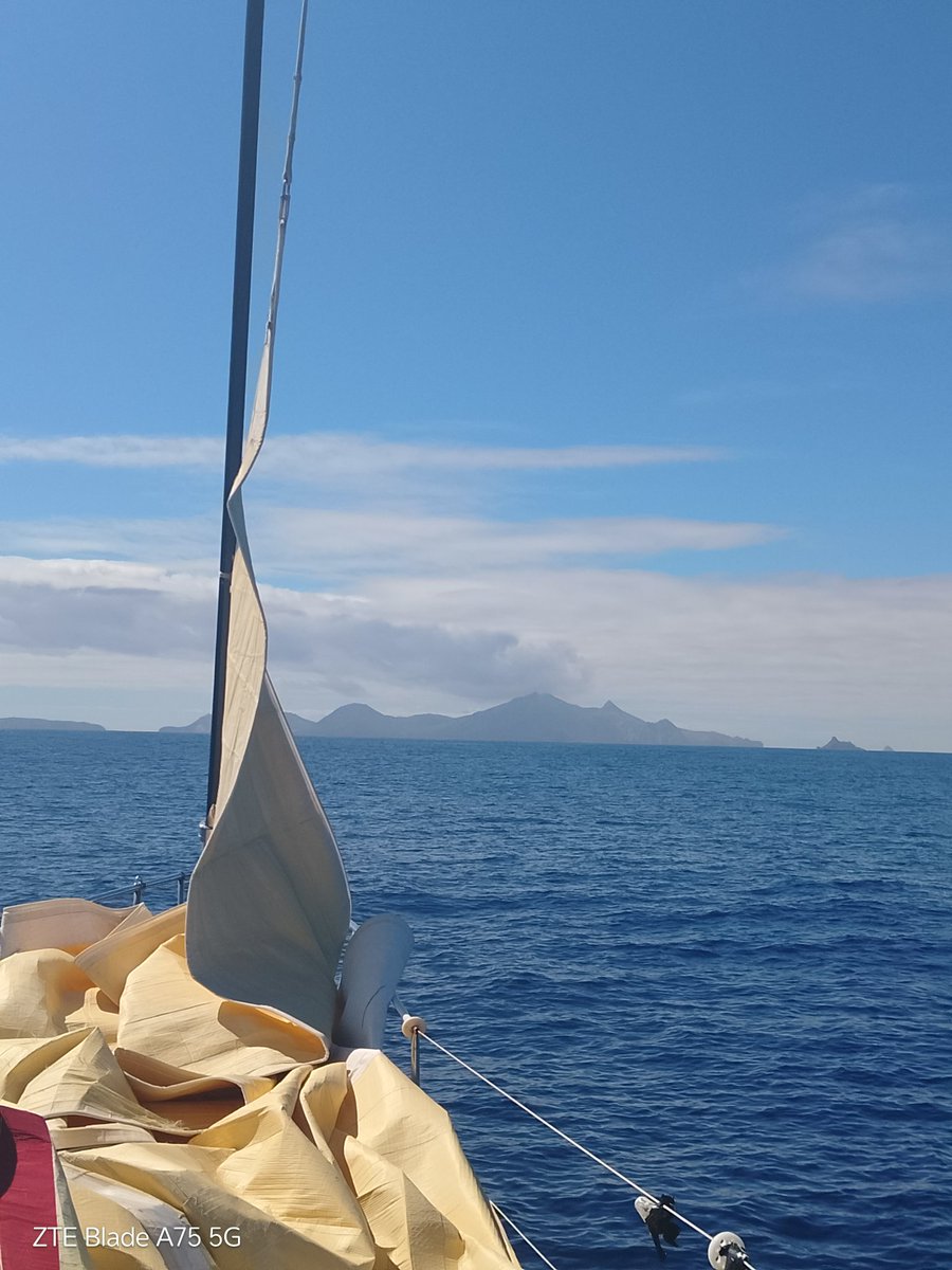 Ariel 🦇🔊🇦🇷⭐️⭐️⭐️ tweet media