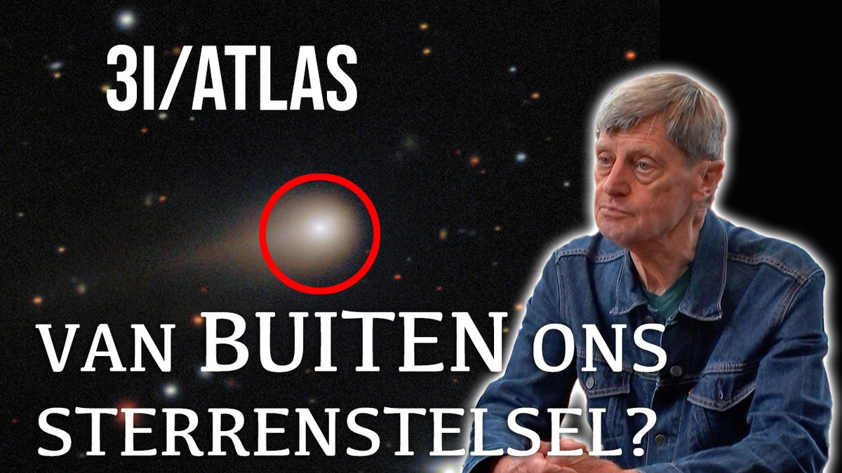 De Nieuwe Wereld tweet media