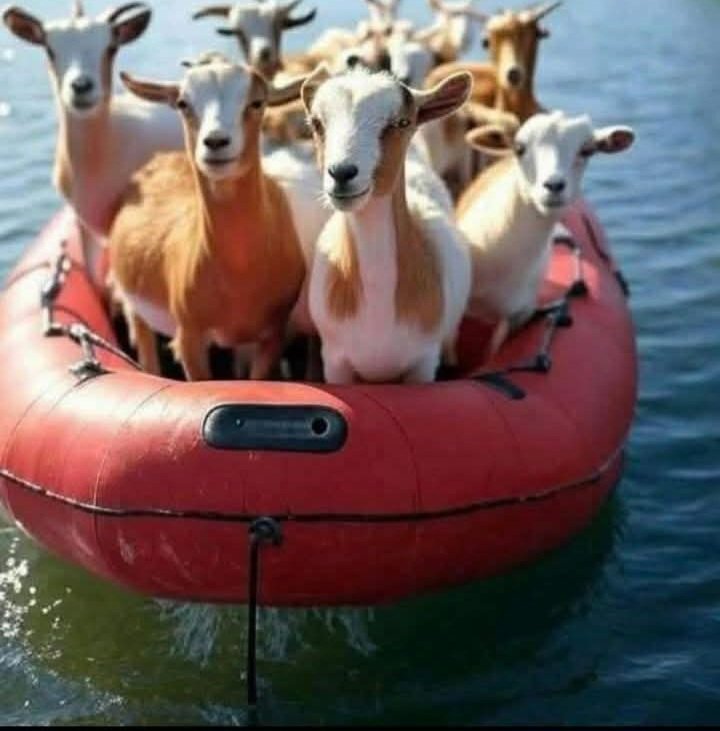 Abdel et momo
On arrive 🤣