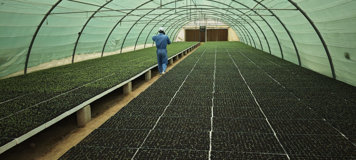 ICRC Yemen tweet media