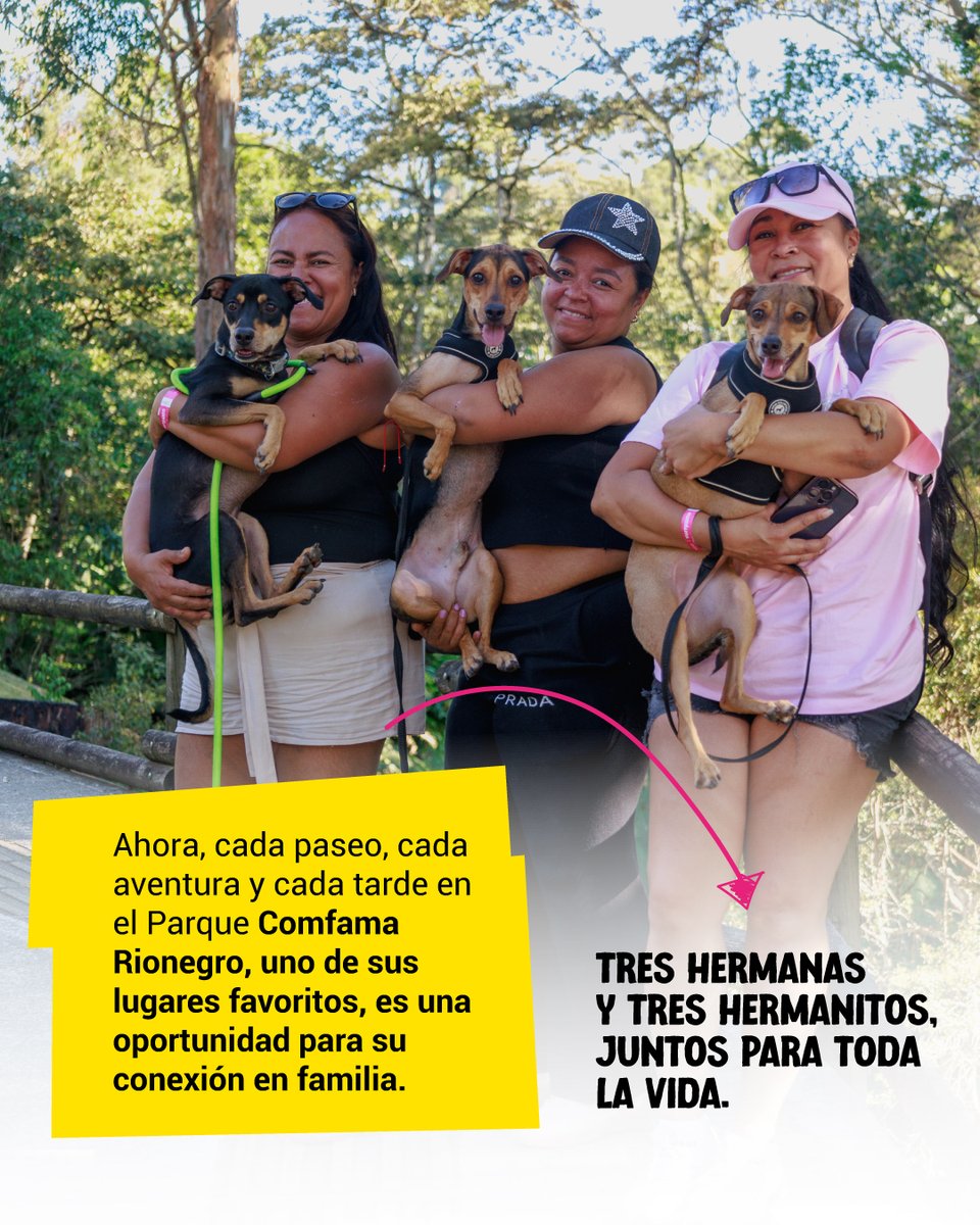 El amor se multiplicó por tres en la vida de estas hermanas, cuando se encontraron con tres hermanitos caninos. Aquí la historia de un match muy especial ❤️⬇️ 

Todo comenzó en un viaje a Coveñas. Franceny, Ivone y Katerine disfrutaban de un paseo en familia, sin imaginar que su