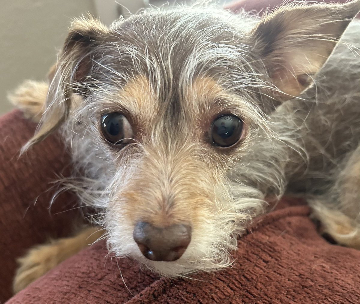 What is she thinking?