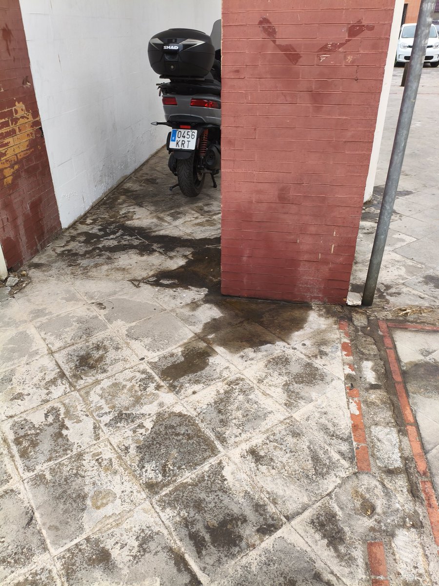 Esta es la Triana de LipaSanz, <a href="/torreglosam/">Manuel Torreglosa</a> el de los 150mil, <a href="/eveliarincon/">Evelia Rincón</a> la llorona y su equipo ja heredado, colchones, orines, kakas de humano, a los trianer@s de bien... La mugre se los come,pero bueno.. Ya queda menos para cumplir su promesa..en tres meses sevilla limpia!