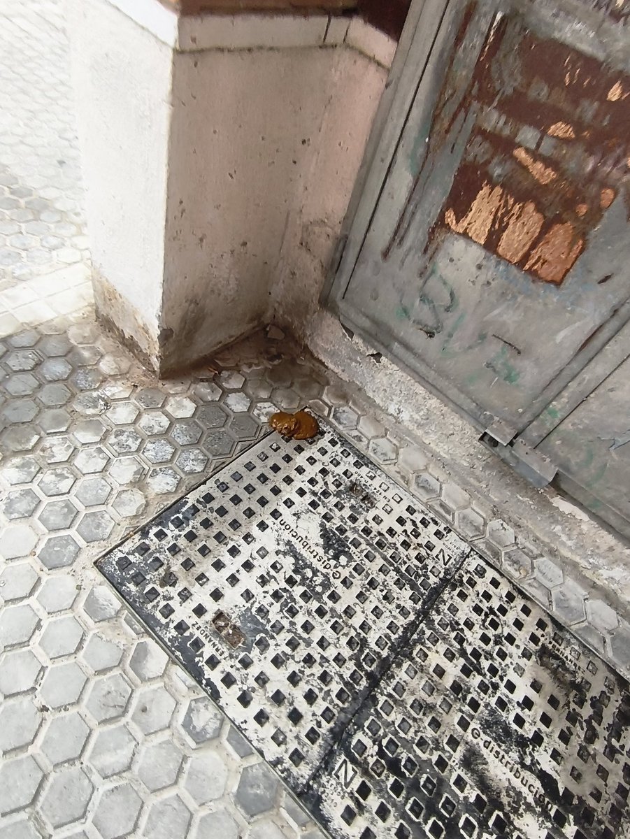 PPluiSanz's tweet photo. Esta es la Triana de LipaSanz, @torreglosam el de los 150mil, @eveliarincon la llorona y su equipo ja heredado, colchones, orines, kakas de humano, a los trianer@s de bien... La mugre se los come,pero bueno.. Ya queda menos para cumplir su promesa..en tres meses sevilla limpia! https://t.co/nSwuBf7NG8