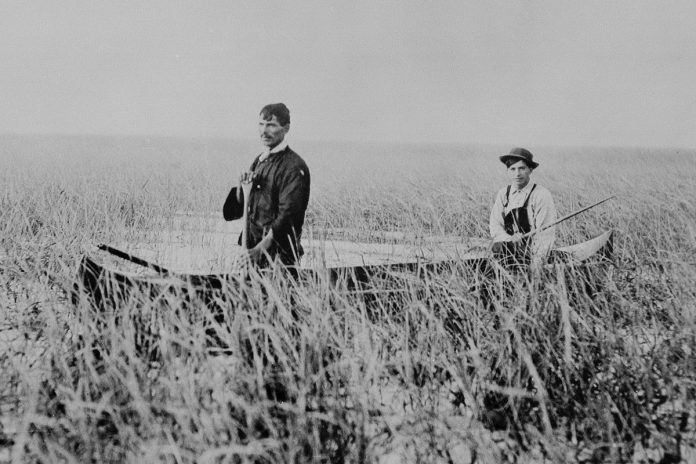 Initiative to grant Rice Lake legal personhood status gaining momentum, says Alderville First Nation Chief

Read more: kawarthanow.com/2025/10/17/ini…