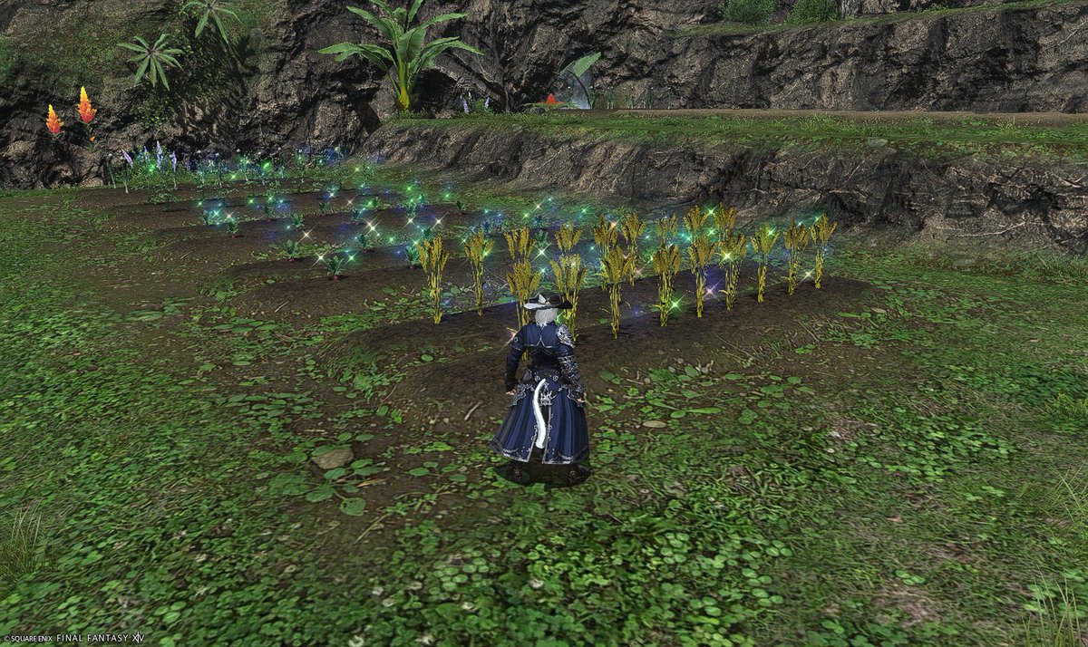 開拓経験値が全然増えないので無駄に野菜を植えるしか…