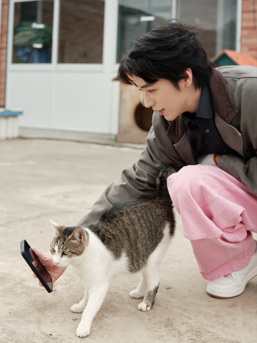 zhoutokyo's tweet photo. どんな命も大切にされる価値がある

2025年10月20日当日は上海猫島でボランティアに励む #許魏洲 ①

#許魏洲1020happybirthday
#許魏洲31thbirthday 

#ティミーシュー #许魏洲 #timmyxu https://t.co/lNY3faJqCH