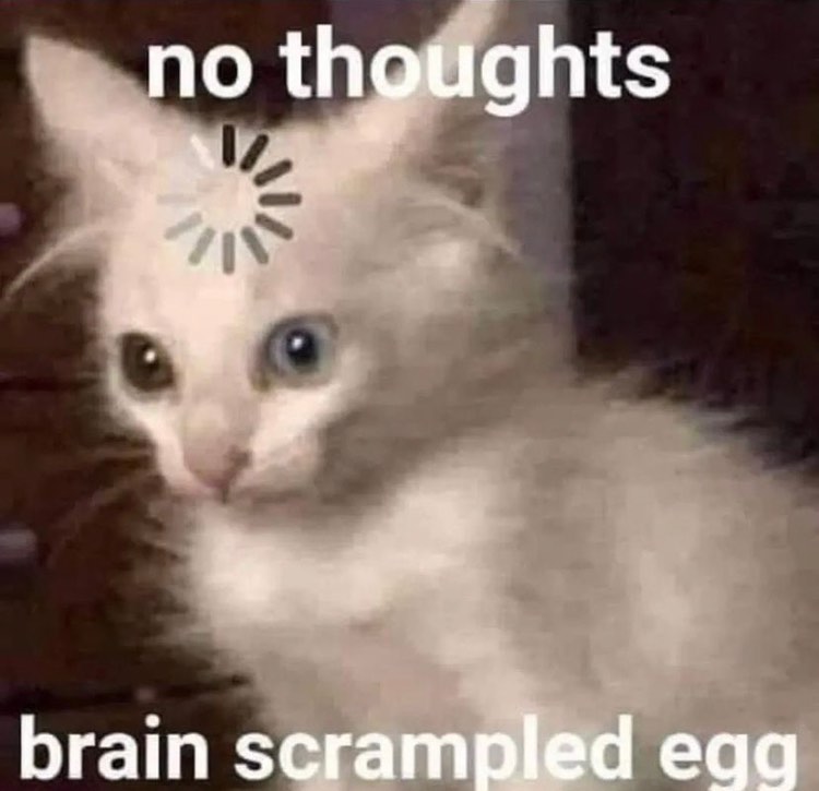 Punch Cat (@punchingcat) on Twitter photo 