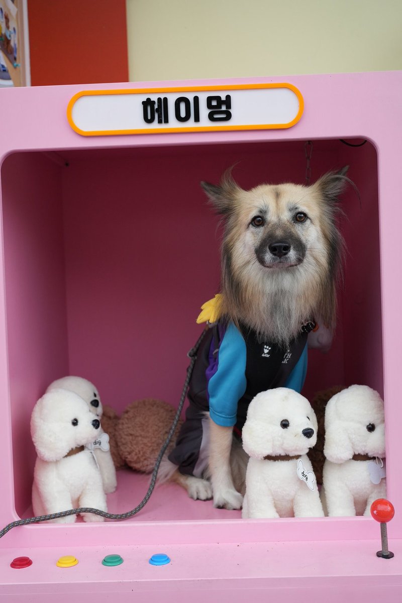 힝구 페퍼

 📷 <a href="/thief_hoony/">찍사 후니누나</a>