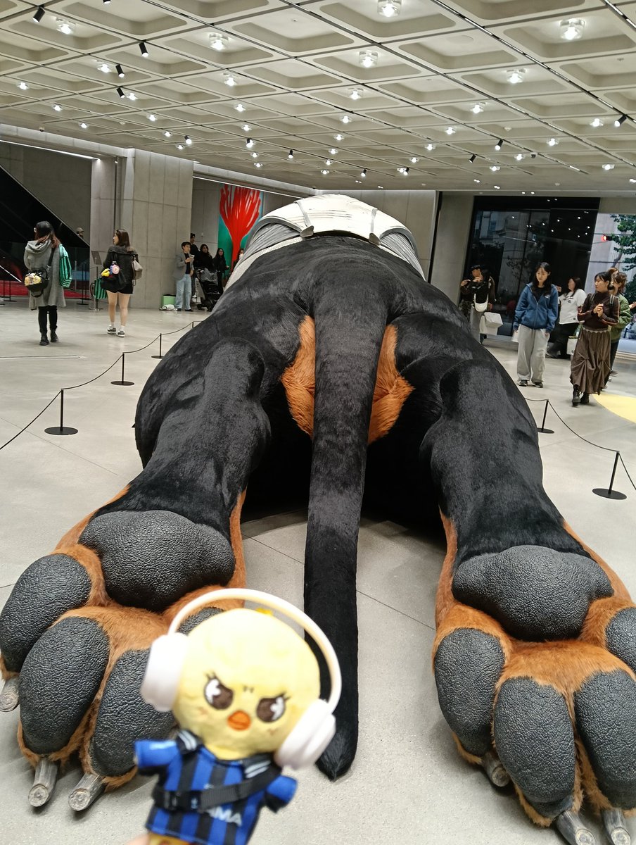 みかりん (@mogmog_micarin) / Posts / X