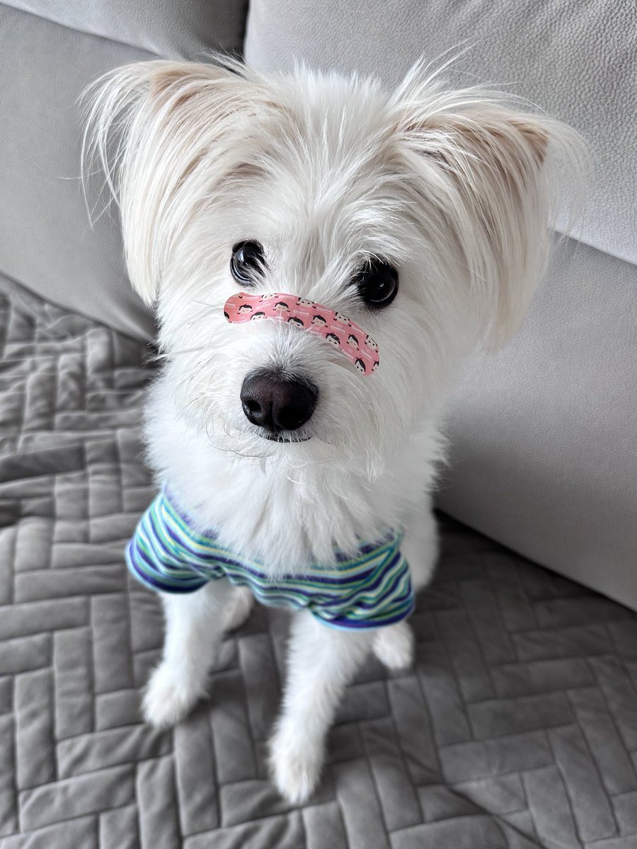 millionbolt's tweet photo. 볼휘혈 (-_-^) https://t.co/iueHnPwNH2