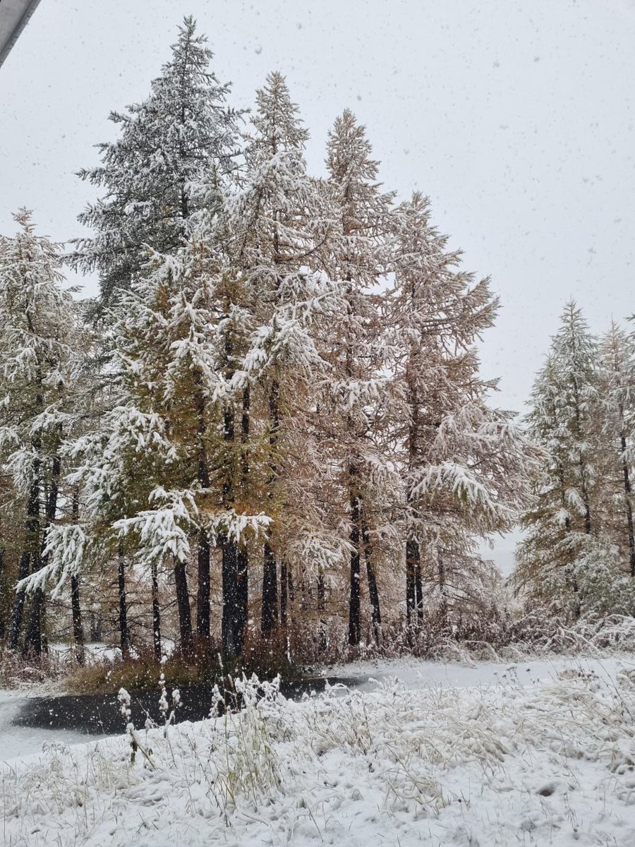 Come previsto è arrivata la neve sulle Alpi a partire dai 1.800-1.900 metri di quota. La novità è che è arrivata anche su alcune zone delle Alpi Occidentali, come la Valle D'Aosta. L’inverno sussurra all’autunno, intrecciando neve e foglie dorate.