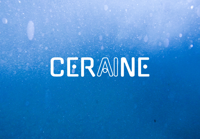 CESGA (@cesga_) on Twitter photo 🌊🛰️ Junto a la empresa #NOWSystems, somos parte de #CERAINE (#Copernicus), proyecto que usa redes neuronales artificiales para mejorar predicciones oceánicas y de oleaje en el Atlántico.
#CESGA #IA #OcéanoAtlántico 🌊🛰️ Junto a la empresa #NOWSystems, somos parte de #CERAINE (#Copernicus), proyecto que usa redes neuronales artificiales para mejorar predicciones oceánicas y de oleaje en el Atlántico.
#CESGA #IA #OcéanoAtlántico