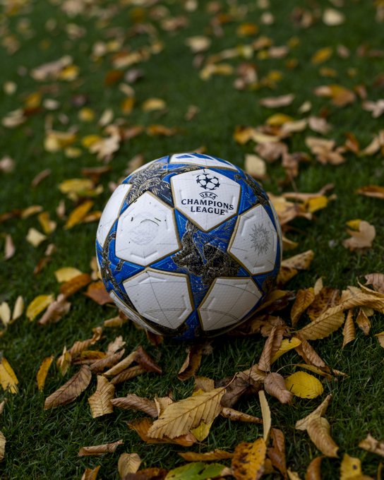 A blue and white patterned soccer ball with UEFA Champions League branding lies on vibrant green grass amid scattered yellow and orange autumn leaves.