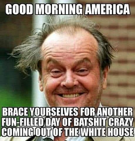 <a href="/Logically_JC/">John Collins</a>