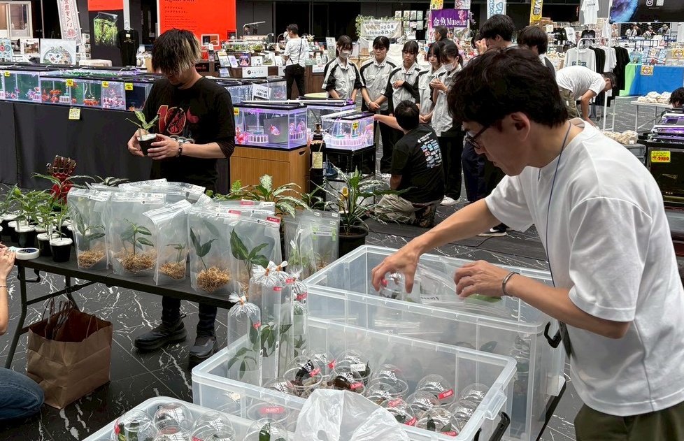 いちご屋 in Day (@0209Bloodymary) / Posts / X