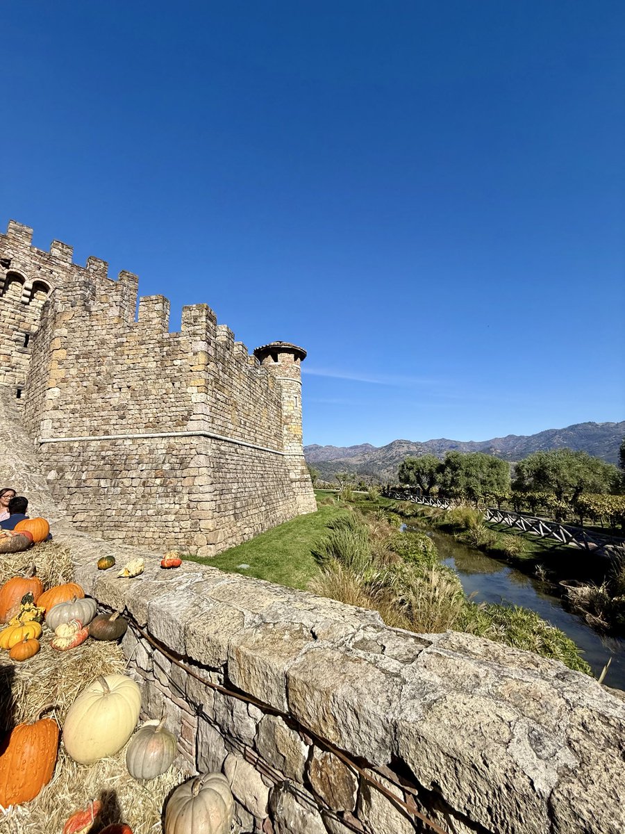 Elazığ’dan Napa’ya uzanan bu bağ yolculuğunda,
sadece bir şey aklımda; gerçek şarap, doğaya sadakatle başlar🍷

Napa şarabı mükemmelliğin peşinde,
Biz ise ruhun.
Biri dengeli bir kompozisyon,
diğeri henüz yazılmamış bir şiir gibi 🍇