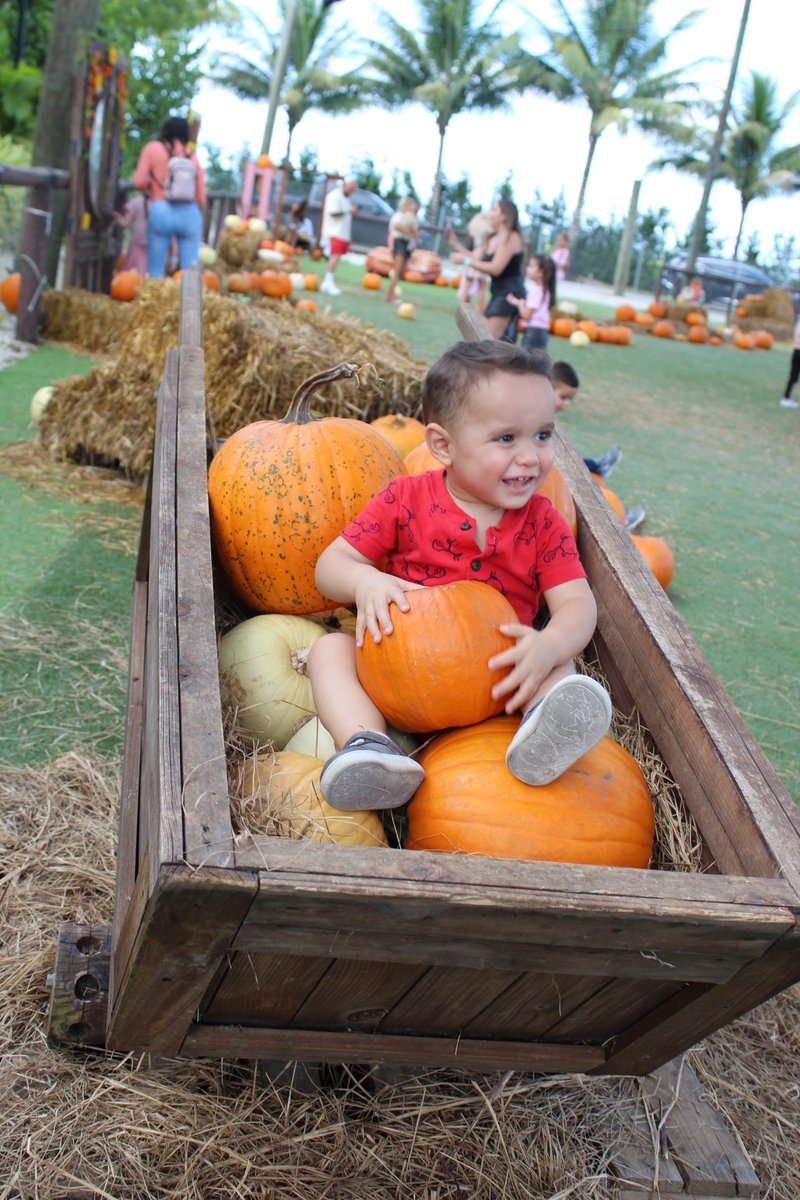 theballparkbabe's tweet photo. Pumpkin Patchin’ 🎃 https://t.co/zgZ0TKT0YG