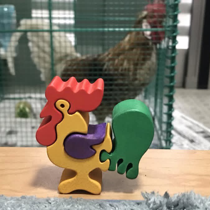 夫が大阪の雑貨屋さんでカラフルなニワトリのブロックトイを買ってきた

これはニワトリ🐓
これはニワトリ🐓…

何か…色的にアリエルに見えない？？🧜‍♀️ 

#ニワトリのいる暮らし
#アリエル   #リトルマーメイド