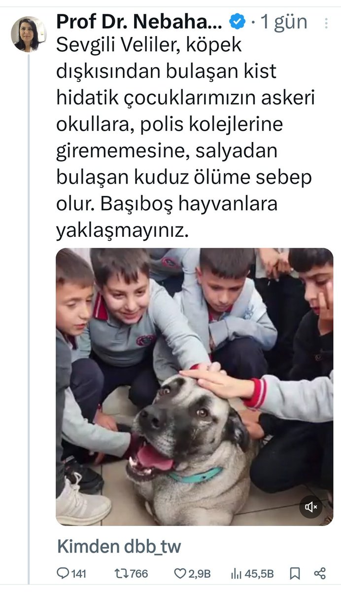 Çiğdem’in Patileri tweet media
