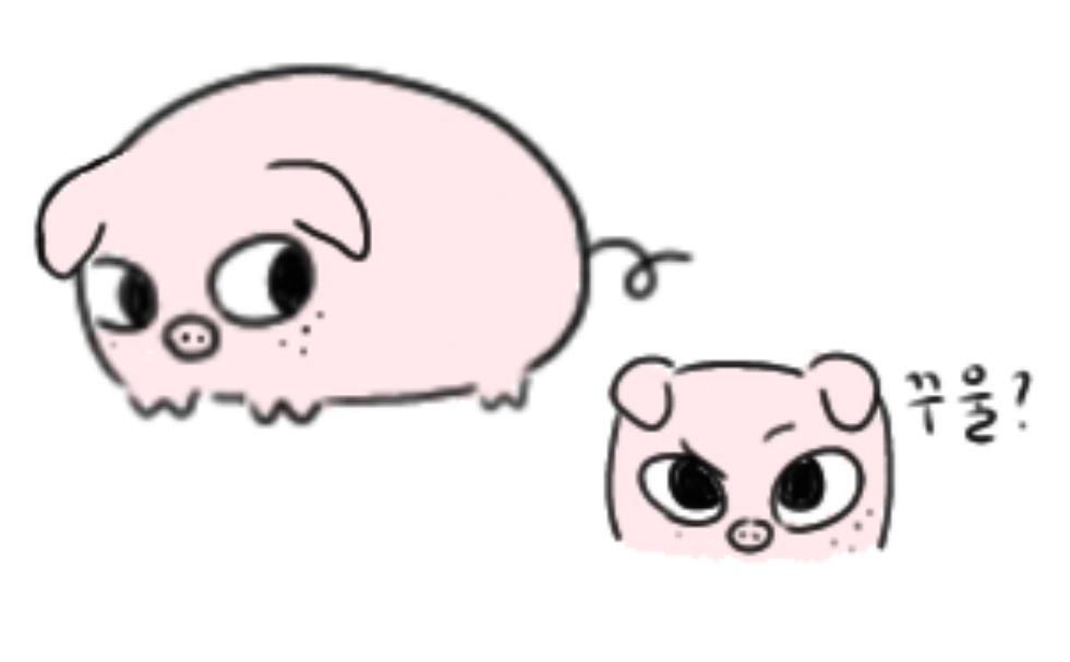 또야지..🐽