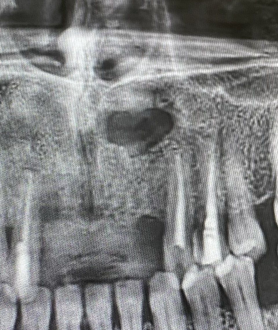 Şans kalbi favlayan aşkı buluyormuş