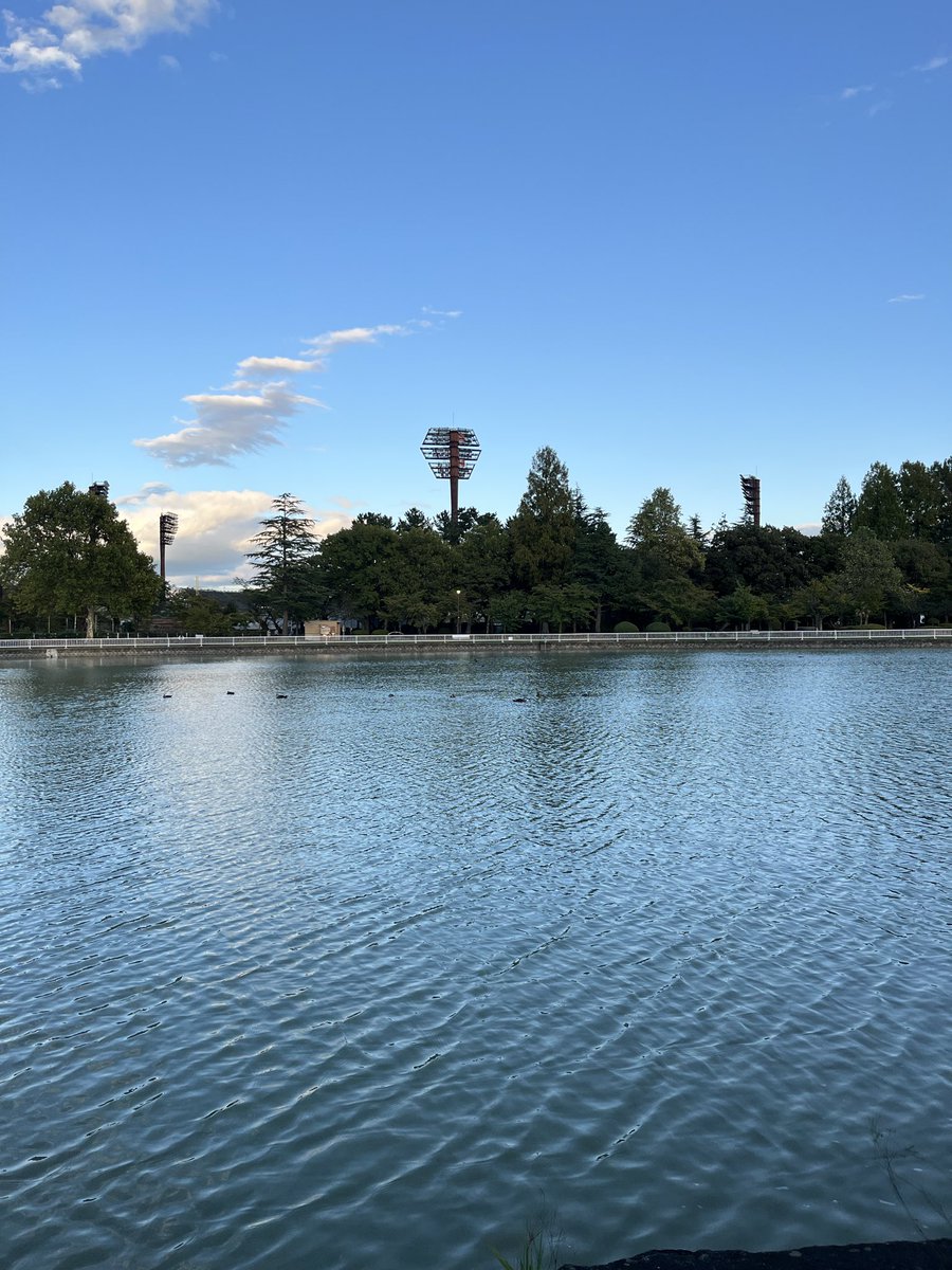 miyata696's tweet photo. 今日はオフだったので
深まりゆく秋を感じに #開成山公園
#FlatwhiteCoffeeFactory に行って
チルってきました🍁
肌寒さを感じながら外のテラス席で飲む
HOTコーヒーはたまりません☕️☺️
公園内に期間限定で出店している
出張カキ小屋 #牡蠣奉行 が気になる🦪😄
#郡山 #カフェ https://t.co/t6hMrR26bm