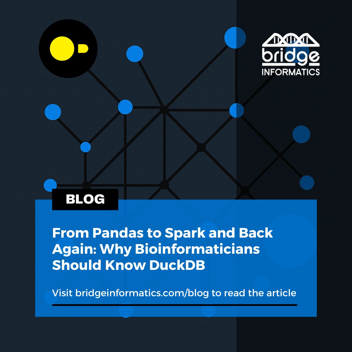 Bridge_Info_USA's tweet image. Big data ≠ only cloud warehouses. Small data ≠ only dataframes. For that “in-between” zone in #bioinformatics, #DuckDB might be the perfect fit 🦆 We tested how it stacks up against #Pandas, #tidyverse, and #Spark, & it’s impressive: bridgeinformatics.com/from-pandas-to… #Python #RStats