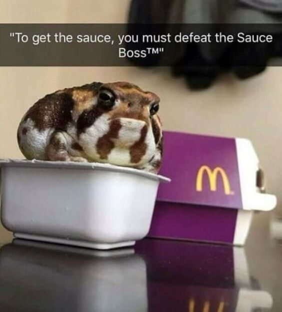 WholesomeMemes (@wholesomememe) on Twitter photo 