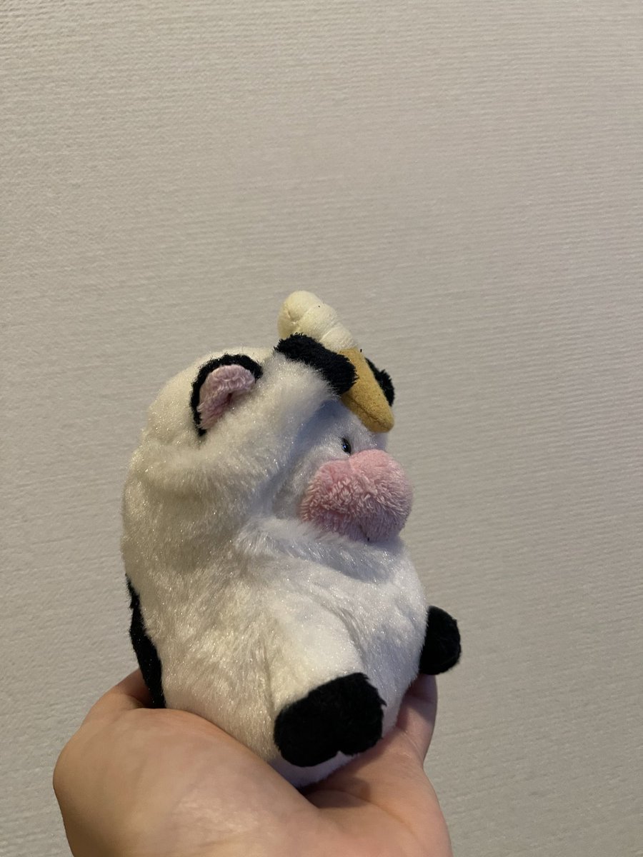 むちまる (@2UjmFK) / Posts / X