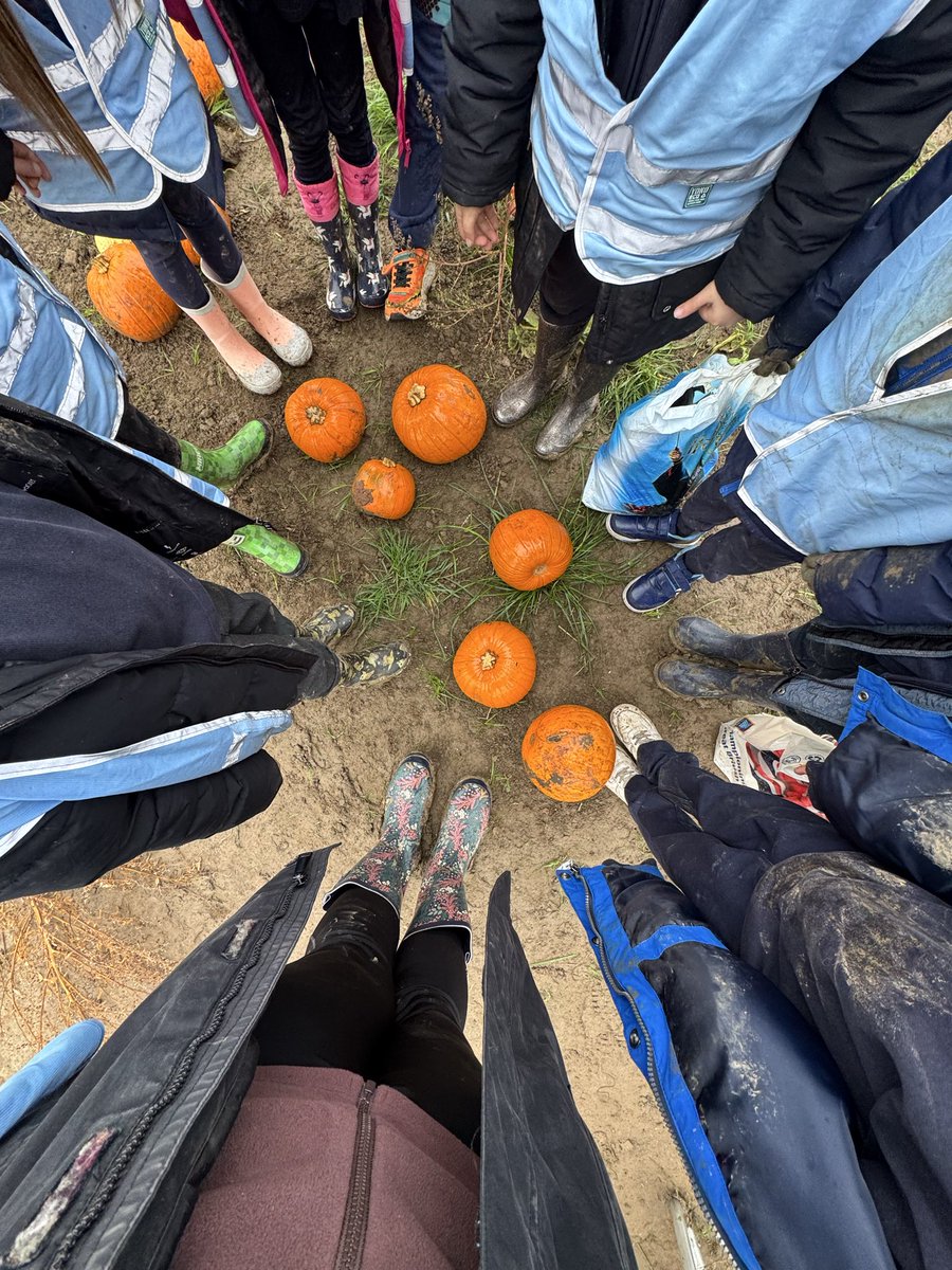 Fitzwilliam Primary tweet media