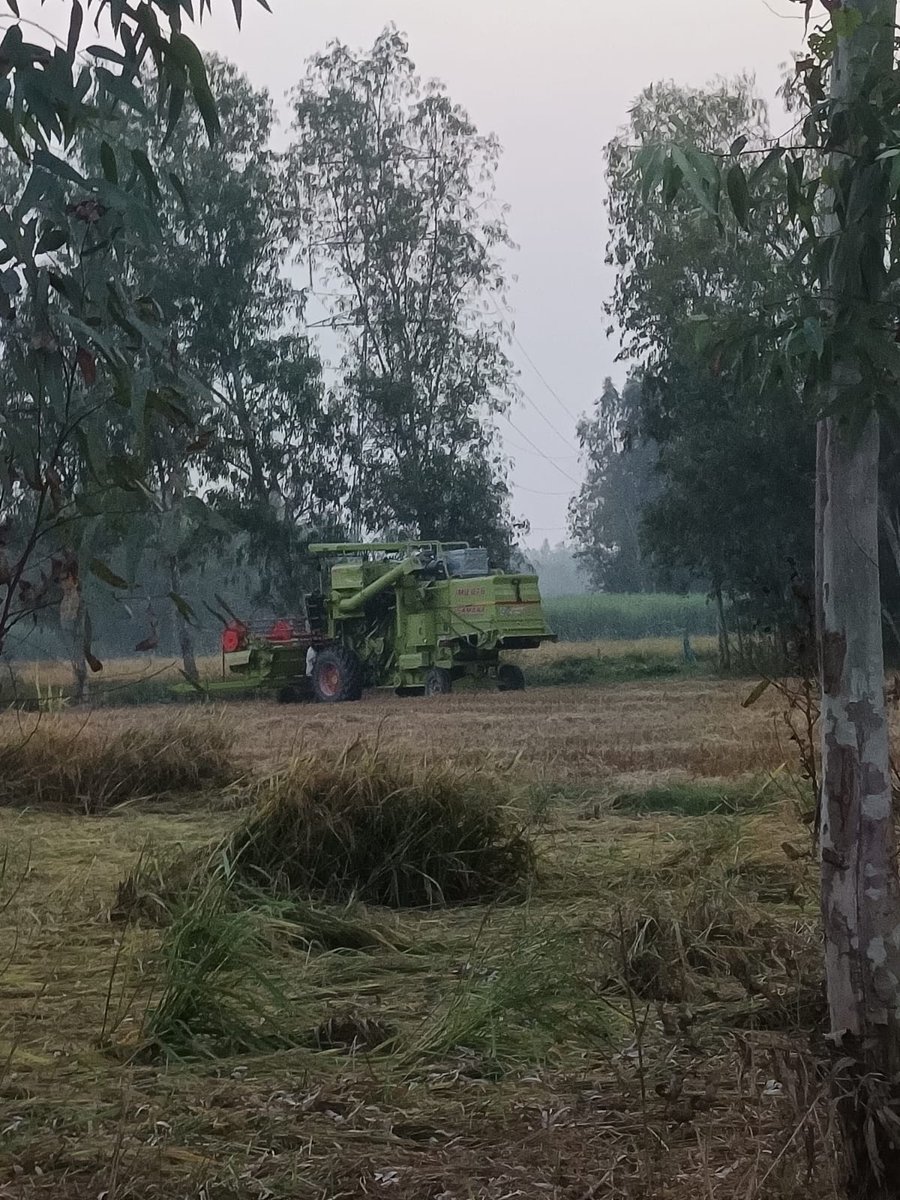 KhalidQure53618's tweet image. #hafizganj
#illegalActivity
#UttarPradesh 
#Justice