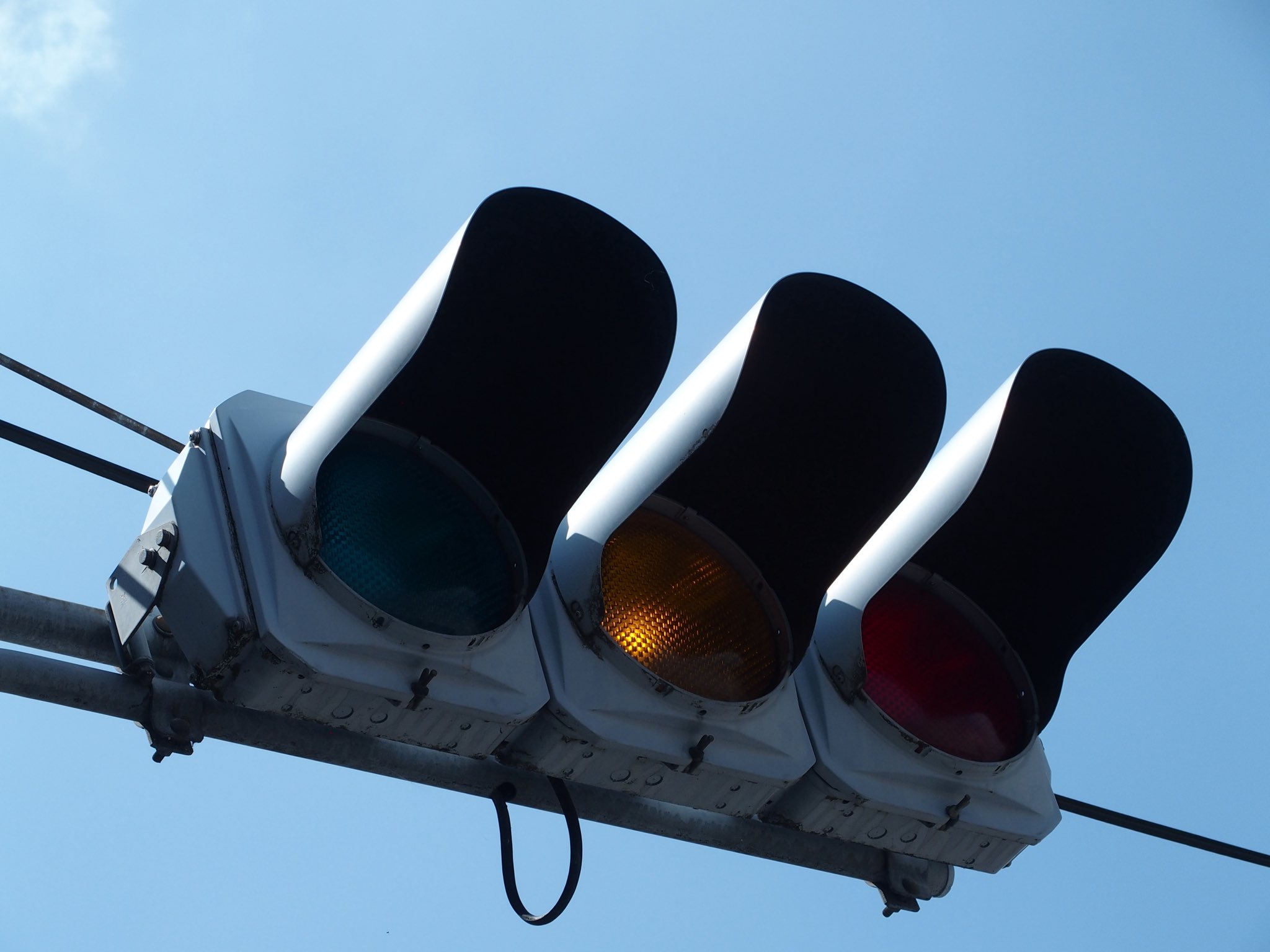 24時間以内に売れなければ300縁 title「お目覚めニャンコ」 にゃんこ