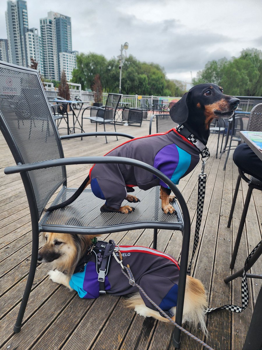 아래층 윗층에 사는 사이