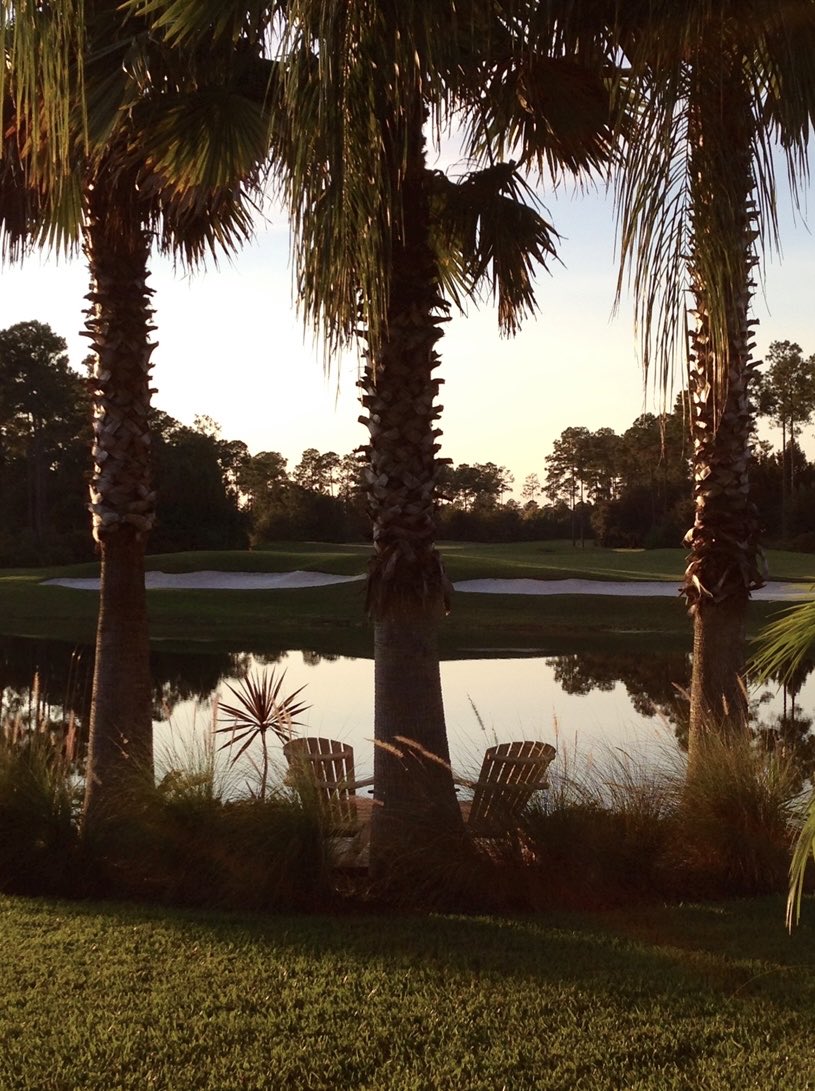 mark williams tweet media