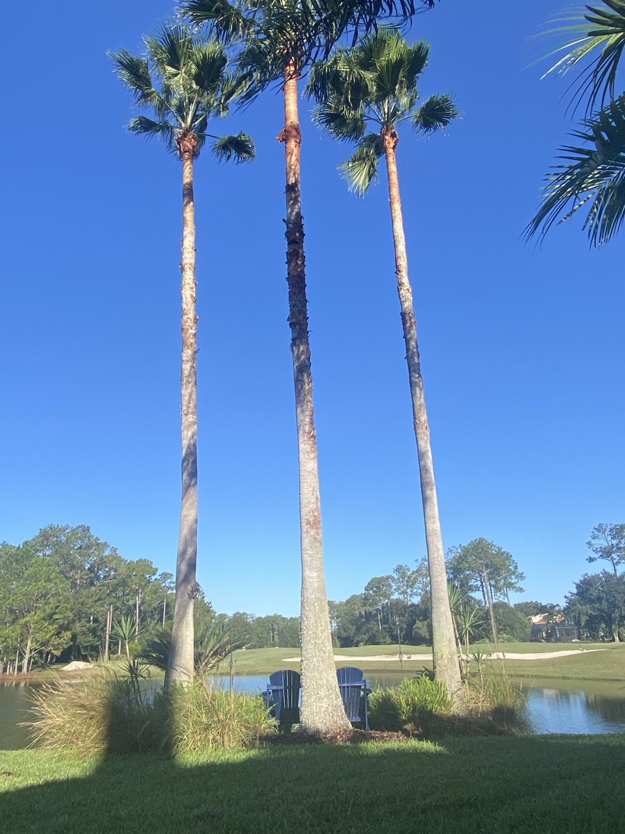 mark williams tweet media