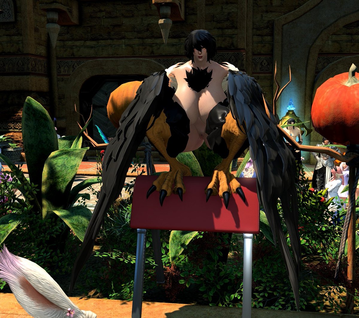 the type of shit i do with livepose