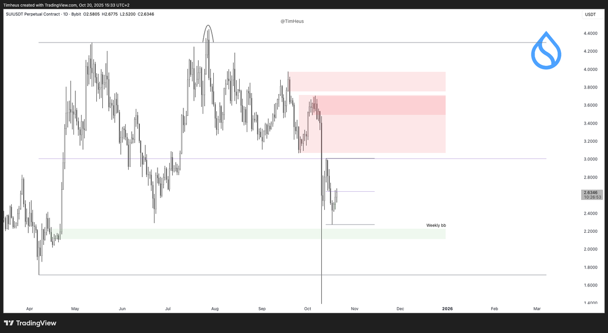 Tim Heus tweet media