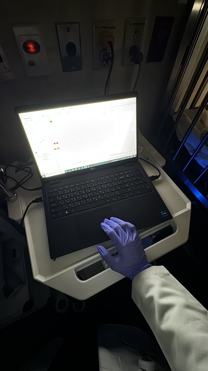 شُمــوخ tweet media