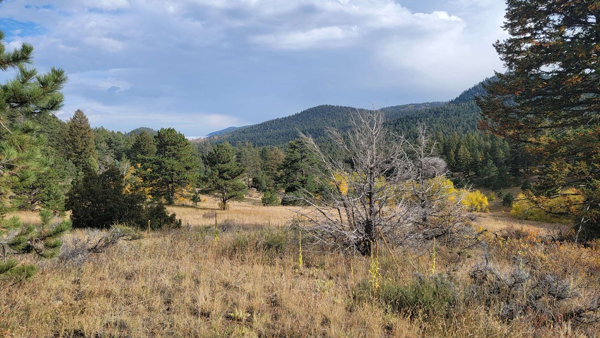 Bethany (@theslib) on Twitter photo 