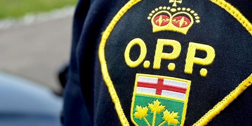 Quinteist tweet media