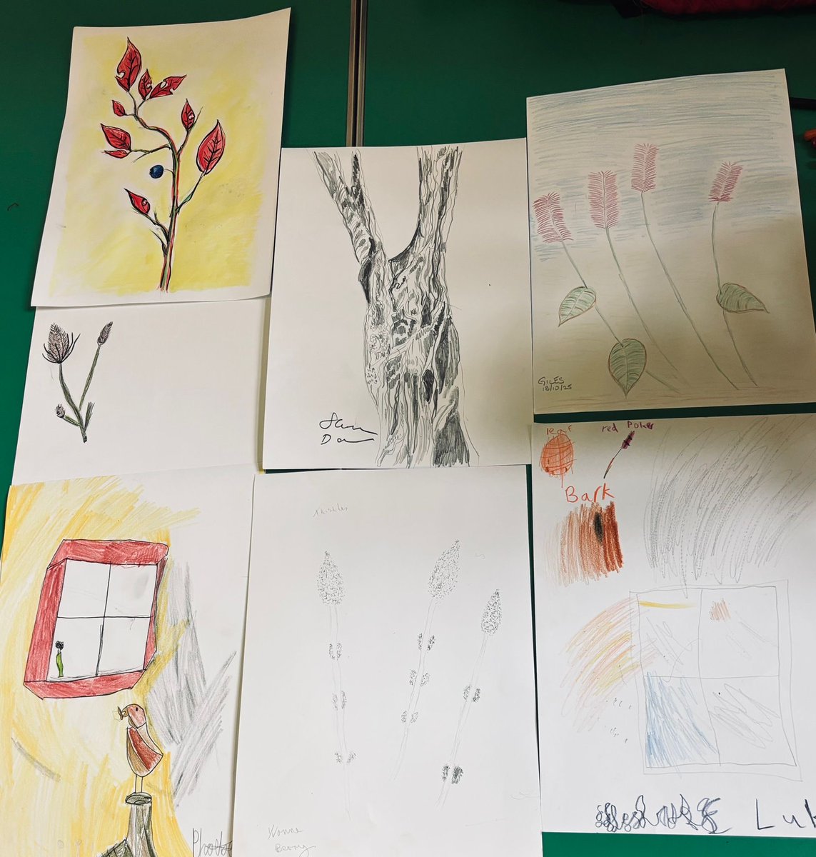 CharltonLib's tweet image. We enjoyed hosting The Big Draw Festival 2025: Drawn Together at #CharltonLibrary on Saturday! 🖍️ 
With a sketchbook walk in the park and a collaborative collage workshop in the Library, all ages created some fantastic pieces. Thank you all for coming and exploring creatively ✍️