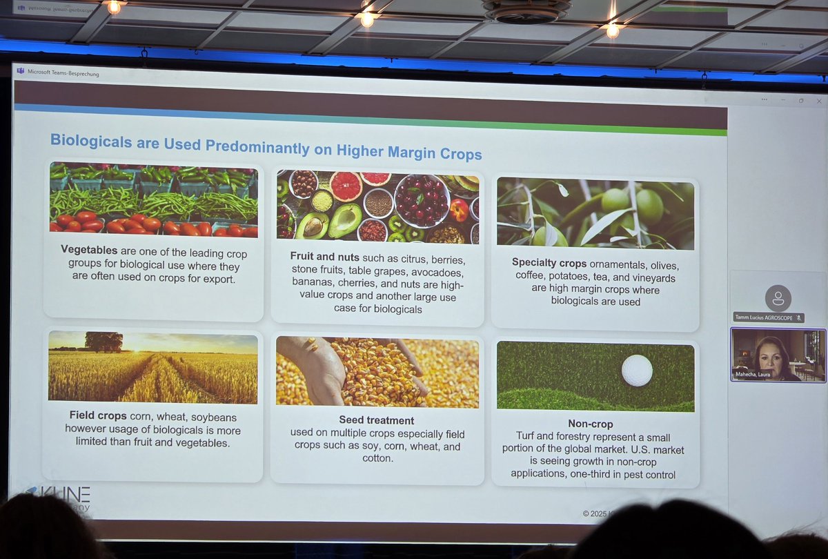 Marieta Marin Bruzos tweet media