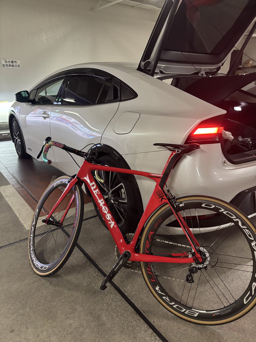 モナリザ（仮） MT-BC-FUYUZAKURA WSE'22/E | Deviser ｜株式会社ディバイザー