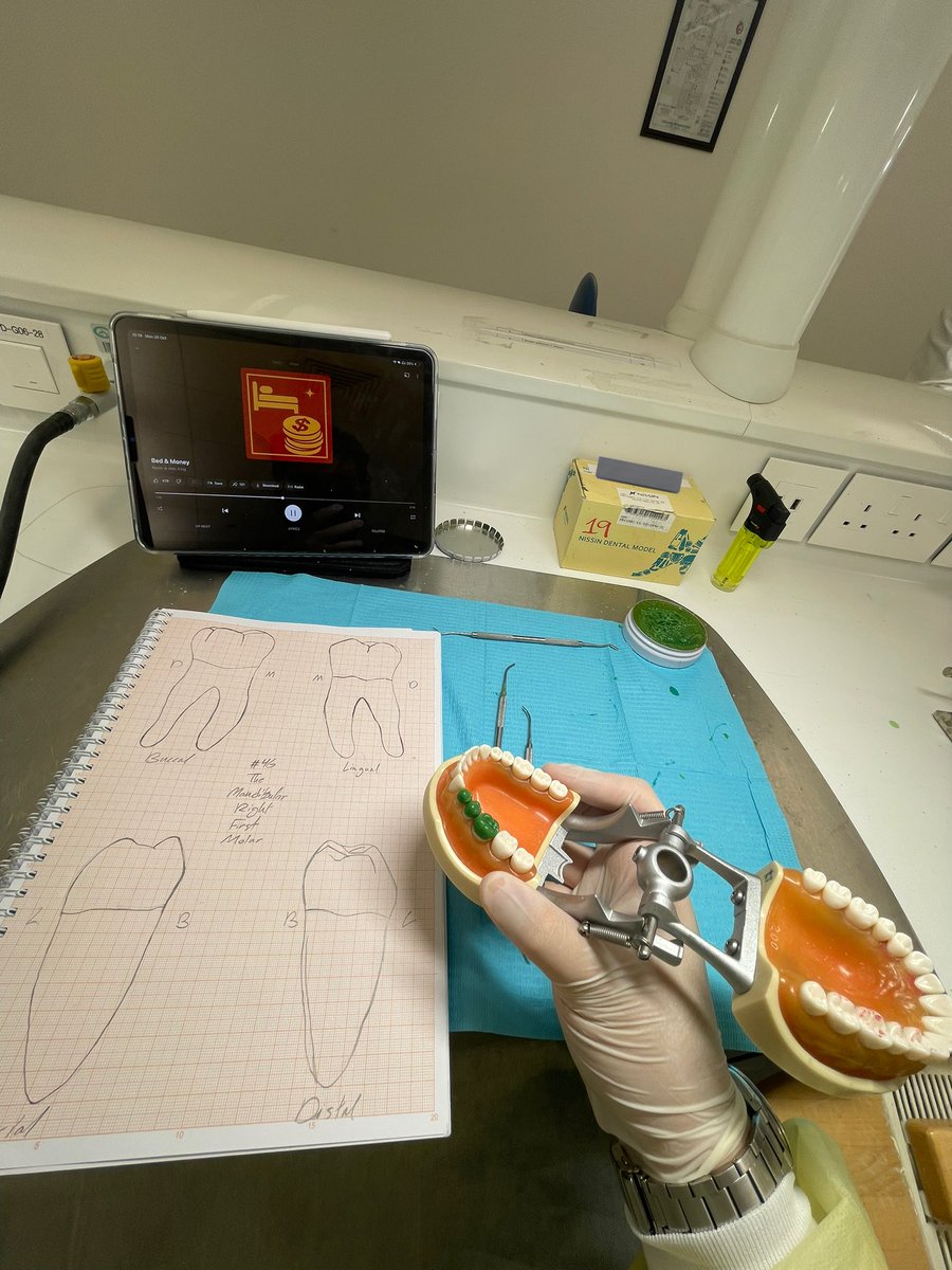 Hamad 🦷 tweet media