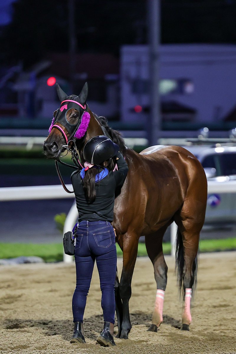 ミシェル騎手とのゴールデンコンビでまたまた勝利🏇🏅
全3勝はミシェル騎手

25.09.22 浦和競馬 9R（1着）

フブキ × M・ミシェル 騎手
水上直人厩舎
#むーちゃん応援隊 
#チームむーちゃん