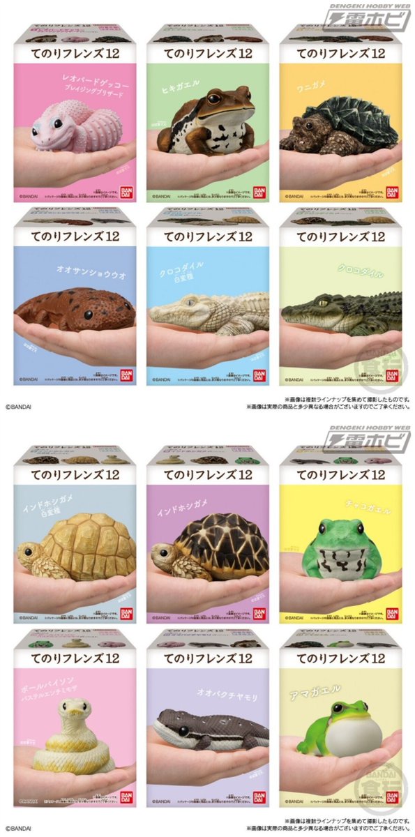 ゾウm アルマ 亀甲アフリカ パキプス咆哮 電撃ホビーウェブ on X