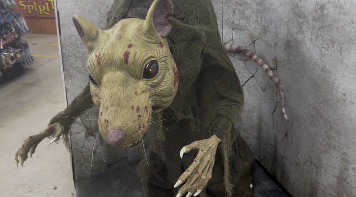 RustyNumber5's tweet image. New video Wednesday where I explore two different Spirit Halloween locations!