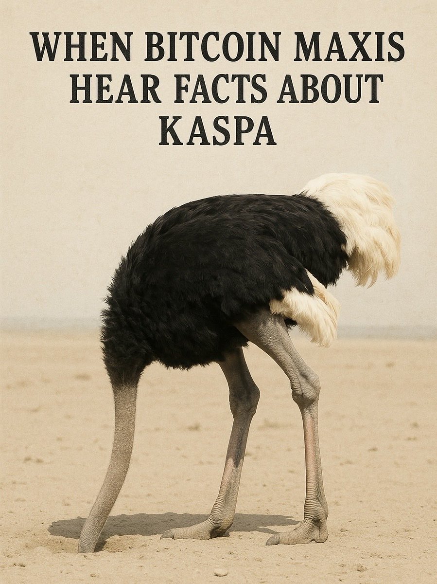 Why do Bitcoin maxis only talk about Kaspa’s price and never about its technology? 🤔

#Kaspa $KAS #Bitcoin $KAS