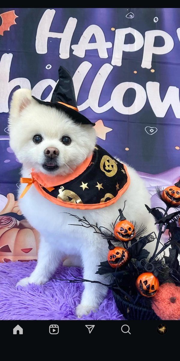 Jun Racing Factory tweet media